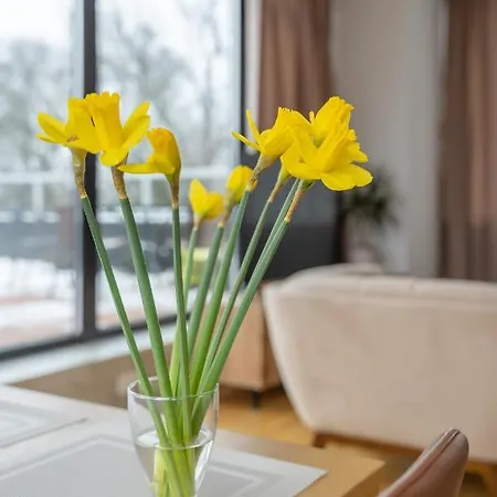 Appartement 1-bedroom Penthouse With Underground Parking