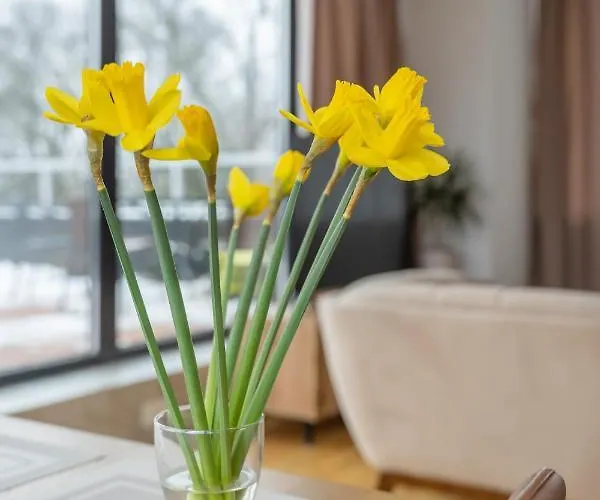 아파트 1-bedroom Penthouse With Underground Parking