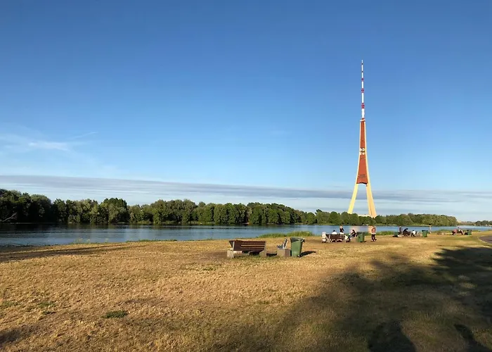 1-bedroom Penthouse With Underground Parking *