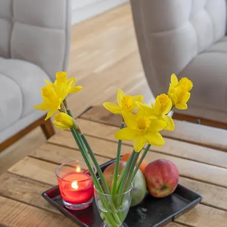 1-bedroom Penthouse With Underground Parking アパート *